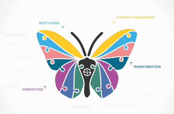 Business transformation butterfly