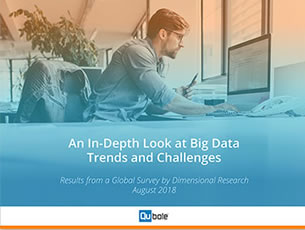 2018 Big Data Trends and Challenges Report
