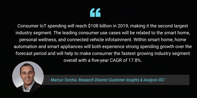 Marcus Torchia, Research Director Customer Insights & Analysis at IDC comments on the consumer IoT 2019 spending findings - picture source IDC