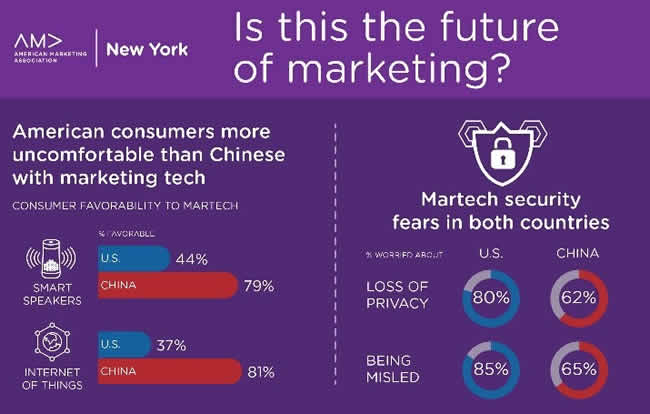 Martech security fears in the US and China as found in the report - full infographic