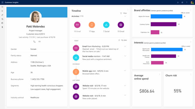 Customer view in Dynamics 365 Customer Insights