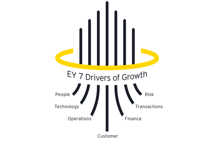 The seven drivers of business growth in to the growth framework of EY