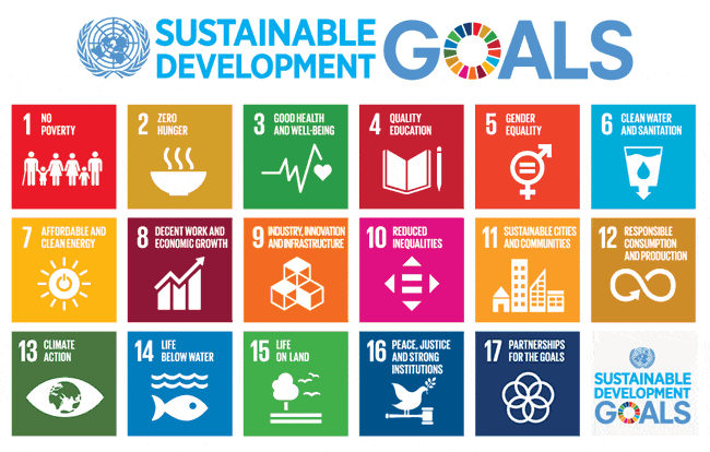 17 sustainable development goals