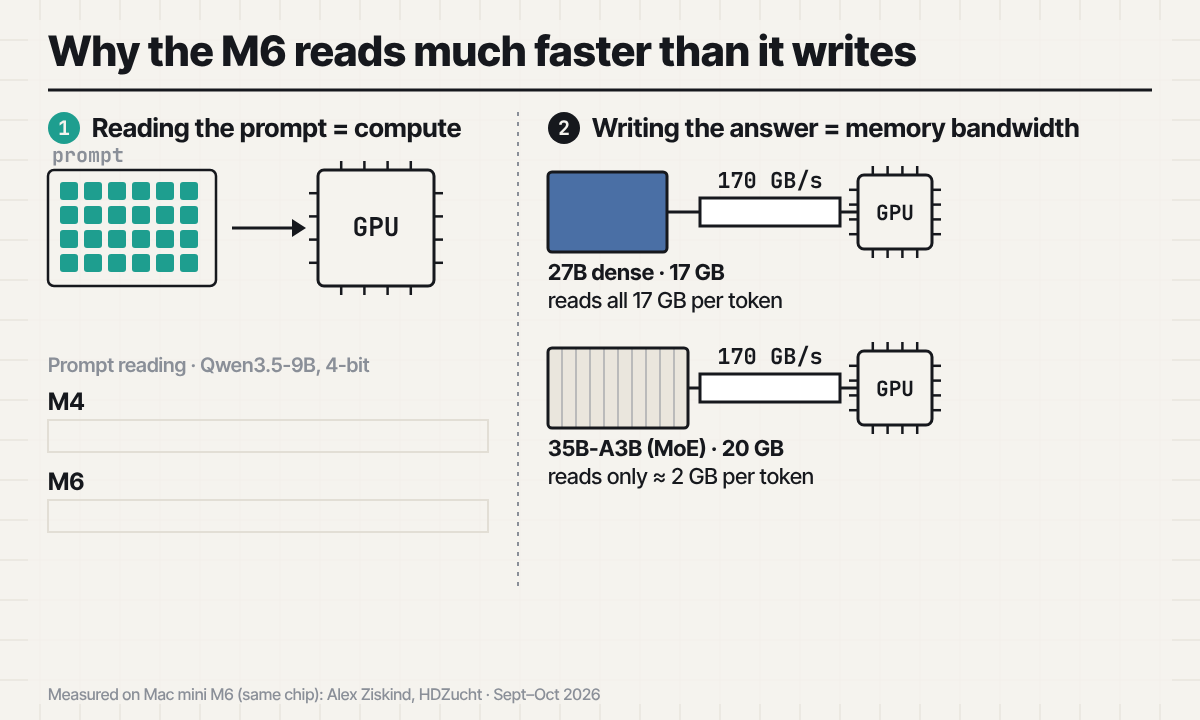 Animation: the M6 reads prompts 3.5× faster than the M4, but each token must pull all active weights from memory