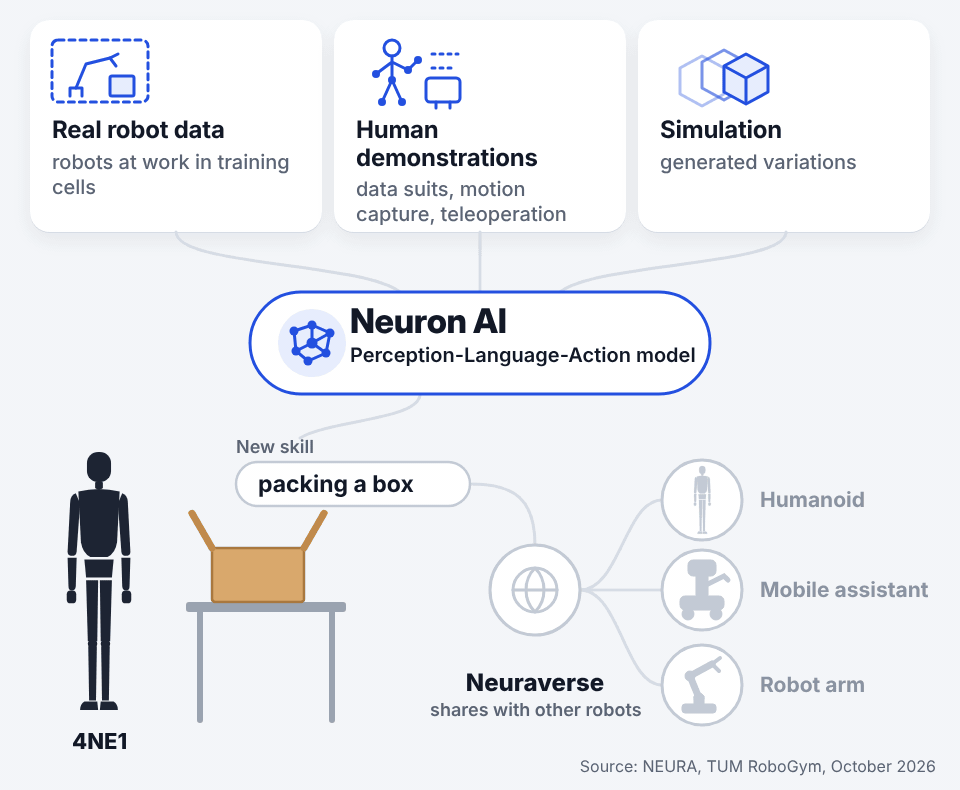 Animation: real robot data, human demonstrations and simulation feed Neuron AI, then one learned skill spreads to other robots