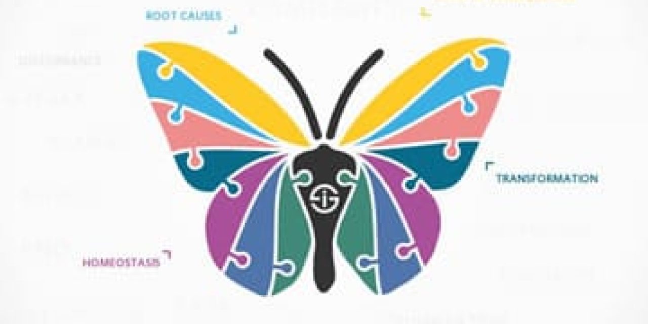 Business transformation butterfly