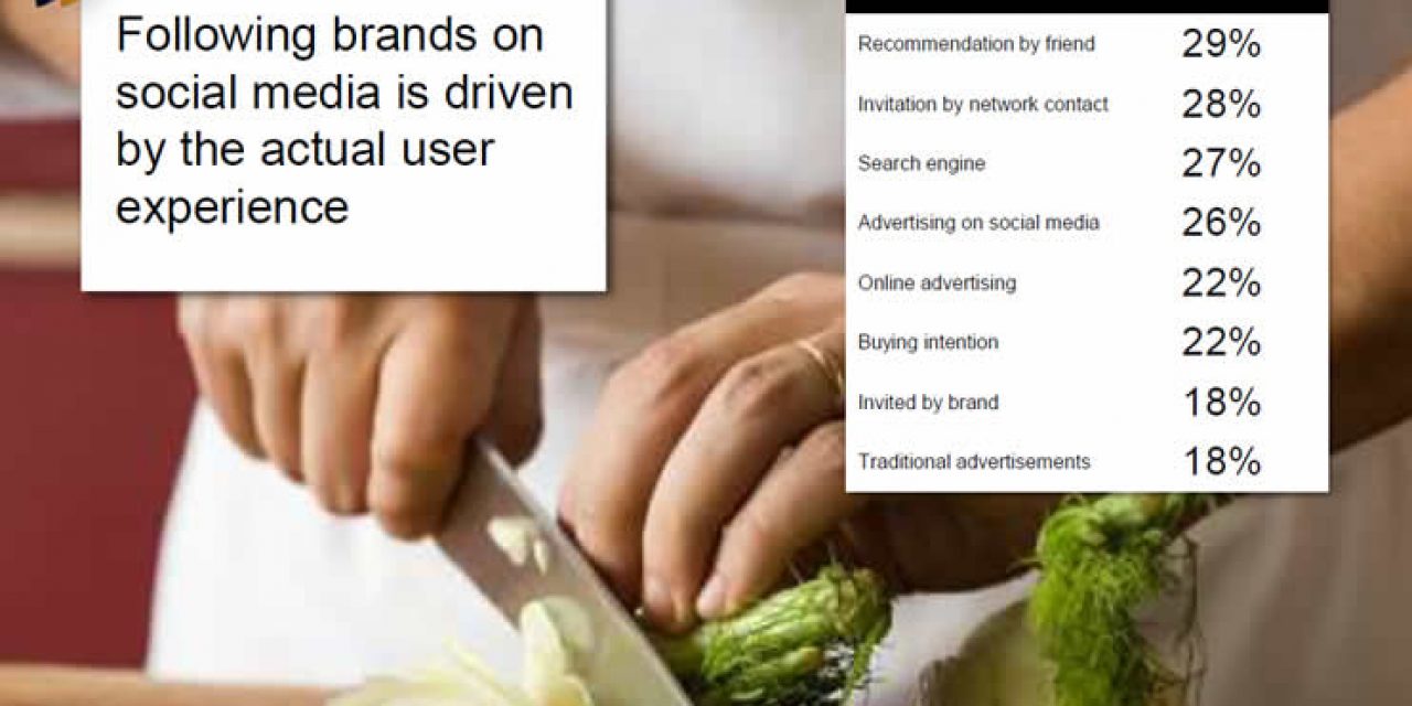 Following brands on social media