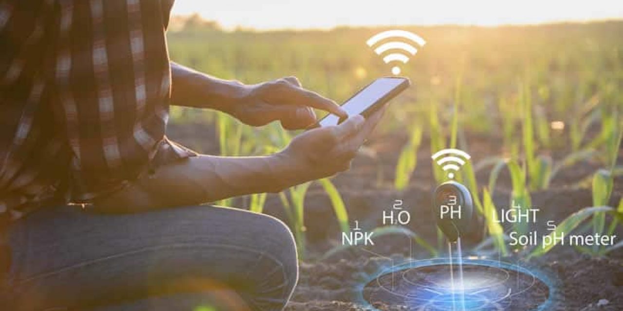 Smart sensors in agriculture