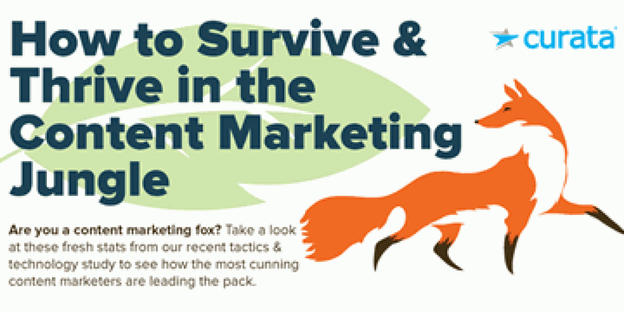 Surviving and thriving in the content marketing jungle