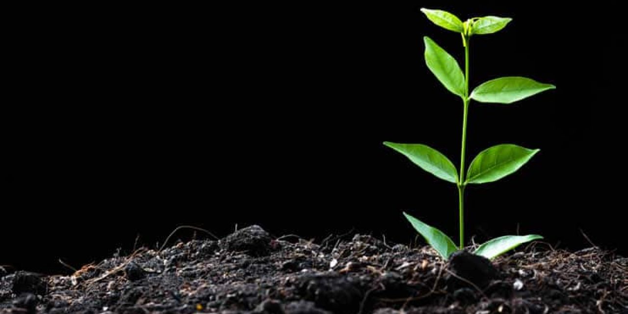 Sustainability concept