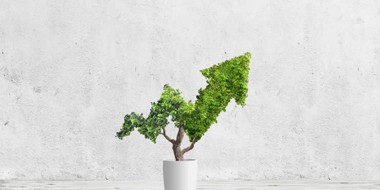 Sustainable business growth illustration