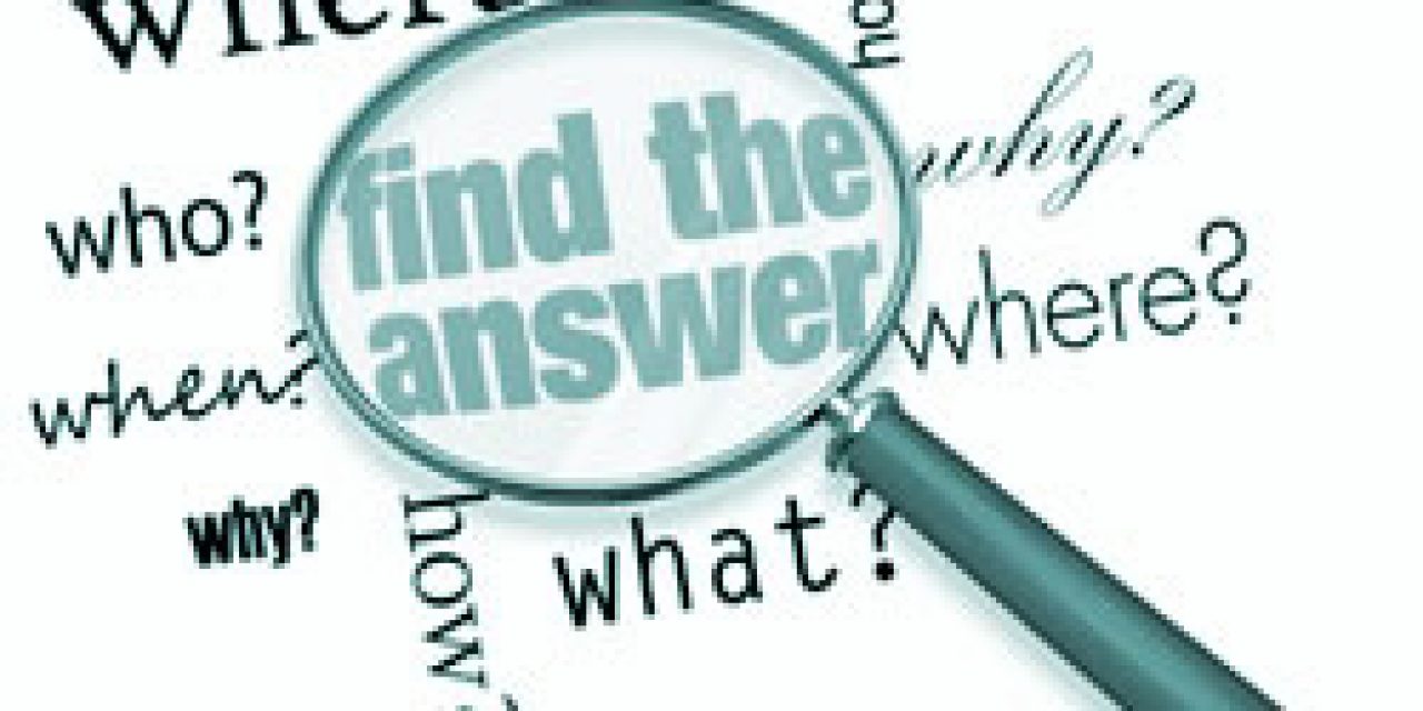 site search